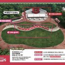 제36회 동성로축제 이미지