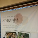 아이비라인 이미지
