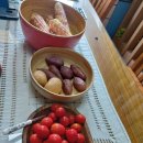 구만리농장 이미지