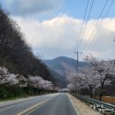 먹자판 | [051] 상주 - 다놀자 캠핑장