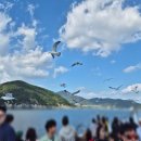 우쭈쭈애견샵 | 거제도외도 배편 지세포관광유람선 유람선예약 외도보타니아 코스 거제도가족여행