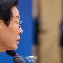 뿌리 철학A 이미지