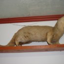 미리네 민박 이미지