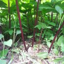 예정농장 이미지