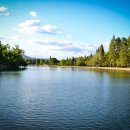 종합 행정사사무소 이미지