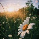 글쓰기를 위하여 이미지