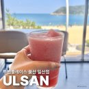 투썸플레이스울산일산점 | 울산 대형 오션뷰 카페 ㅣ투썸 플레이스 울산 일산점 ㅣ신메뉴 수박주스 리뷰 ㅣ주차 정보