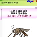 모기에 물렸다고 하기에 이미지