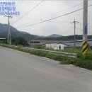 금평목장 이미지