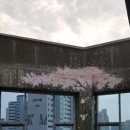 벽화커피숍