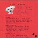 1346 | [#1346] 푸딩(양측 슬개골탈구 G3)의 수술후기