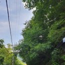 가평로제펜션 이미지