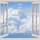 한국 대선과 미국 트럼프 이미지