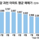 중앙동155 이미지