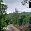 산내별빛오토캠핑장 | 경주 캠핑 산내 별빛 오토캠핑장 다녀온 후기