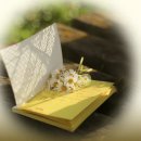 노란 봄꽃 한묶음과 나비 (치환되는 스마트 본문) 2020. 5. 1 태그수정 이미지