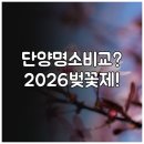 단양소백산중학교 | 단양 벚꽃 명소 비교 및 2026년 축제 일정