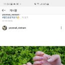윤네일 이미지