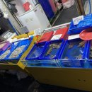 다퍼줘 | 청량리 가성비 횟집 다퍼줘 내돈내산 후기 가격표