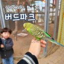 거북장 | 경주 실내 놀거리 동궁원 버드파크 할인 정보 내부 후기