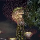 계명슈퍼 | 함께 싱가폴 가족 여행 1 - 머라이언파크, 가든바이더베이, 스펙트라 분수쇼, 슈퍼트리쇼, 래플스 롱바