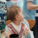 두메아리 | 강서구 물회 연안식당 마곡나루역점 해산물이 싱싱해