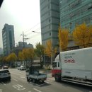 가로수 행정사 사무소 | [태국 국제결혼] 출장 방문상담 후기 : 고민상담?
