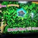 강서구-82 이미지