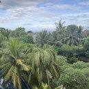 발리 | 발리 남부투어 사마사마 발리 후기