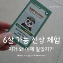 키즈팬더 | 에버랜드 키즈클럽 판다월드 꼬마 사육사 후기, 6살도 가능할까?