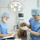 나루동물병원 이미지