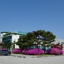 원주굽이길 14코스 흥업캠퍼스낭만길 이미지