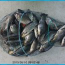 신선지낚시터 이미지