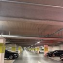 B31 | 동탄 헤드스파 커플 하루두피 동탄1점 솔직 후기(주차, 가격, 두피진단)