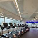 진해헬스 모도리 피트니스 이미지