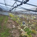 샤인하우스 가동 이미지