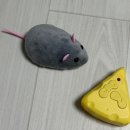 이츠펫 본점 이미지