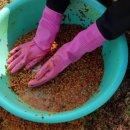 한일 농장 이미지