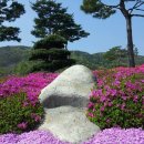 보라컨트리클럽 이미지