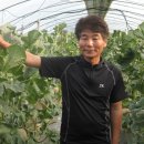 농업회사법인 곡성멜론주식회사 이미지