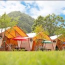 무릉도원면-11 이미지