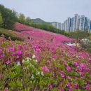 건강정보ㅡ 암이 싫어하는 음식 30가지ㅡ 배ㅡ 발암물질의 배출을 돕는다ㅡ 율무 ㅡ 결장암에 탁월한 항암효과ㅡ 이미지