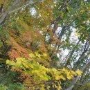 강변아파트 이미지