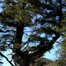 유수농산 이미지