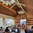 한가로이 경주 | 경주 황리단길 <바이닐 바이브> 실내 놀거리 데이트 LP카페