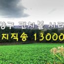 광림농원 이미지