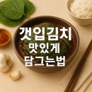 손쉬운 혼밥요리 | 깻잎김치 맛있게 담그는법