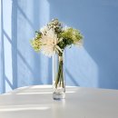 모조하우스 이미지