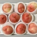 마도카 | 도도명가 마도카 후기: 맛있는 쫀복