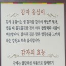 숲속샘터의원 이미지